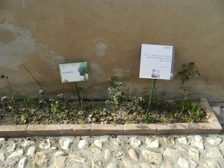 Casa Dell'Oliveto "Parcheggio Gratuito" Lejlighed Narni Eksteriør billede